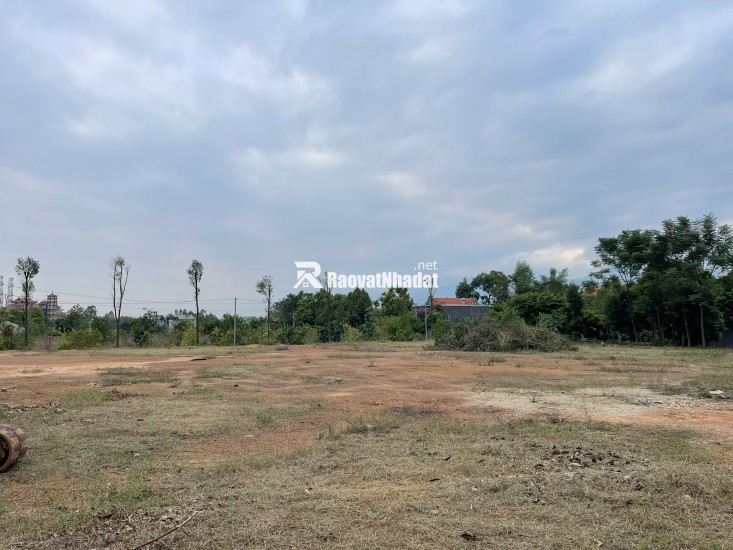 Bán đất huyện Tam Dương, Vĩnh Phúc